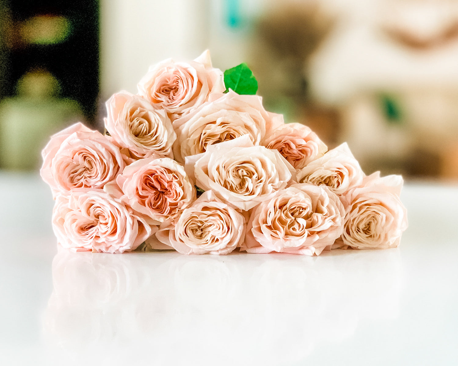 Atado de 12 Rosas Inglesas