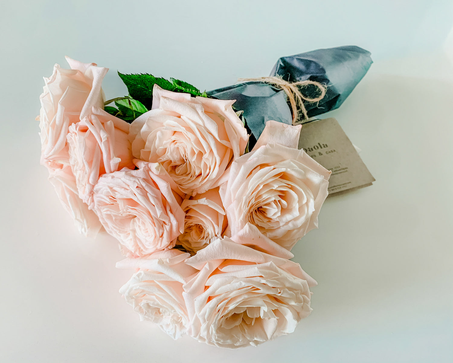 Atado de 12 Rosas Inglesas