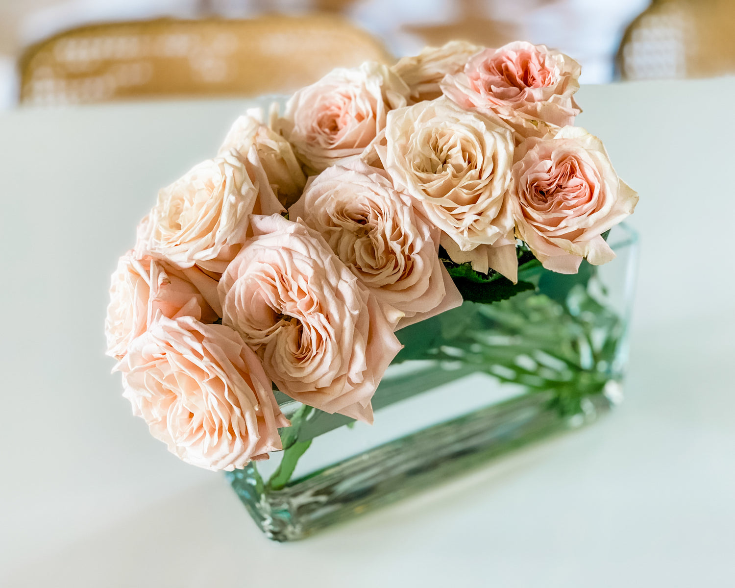 Atado de 12 Rosas Inglesas