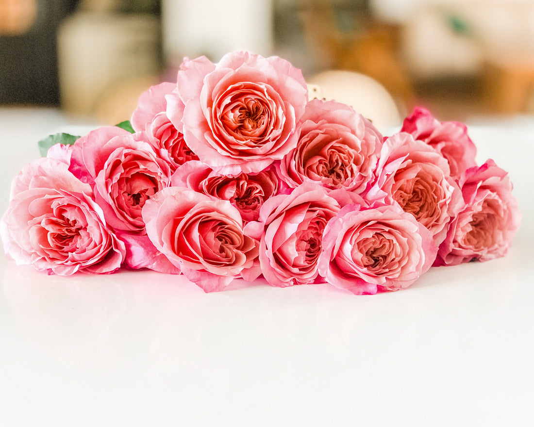 Atado de 12 Rosas Wabara