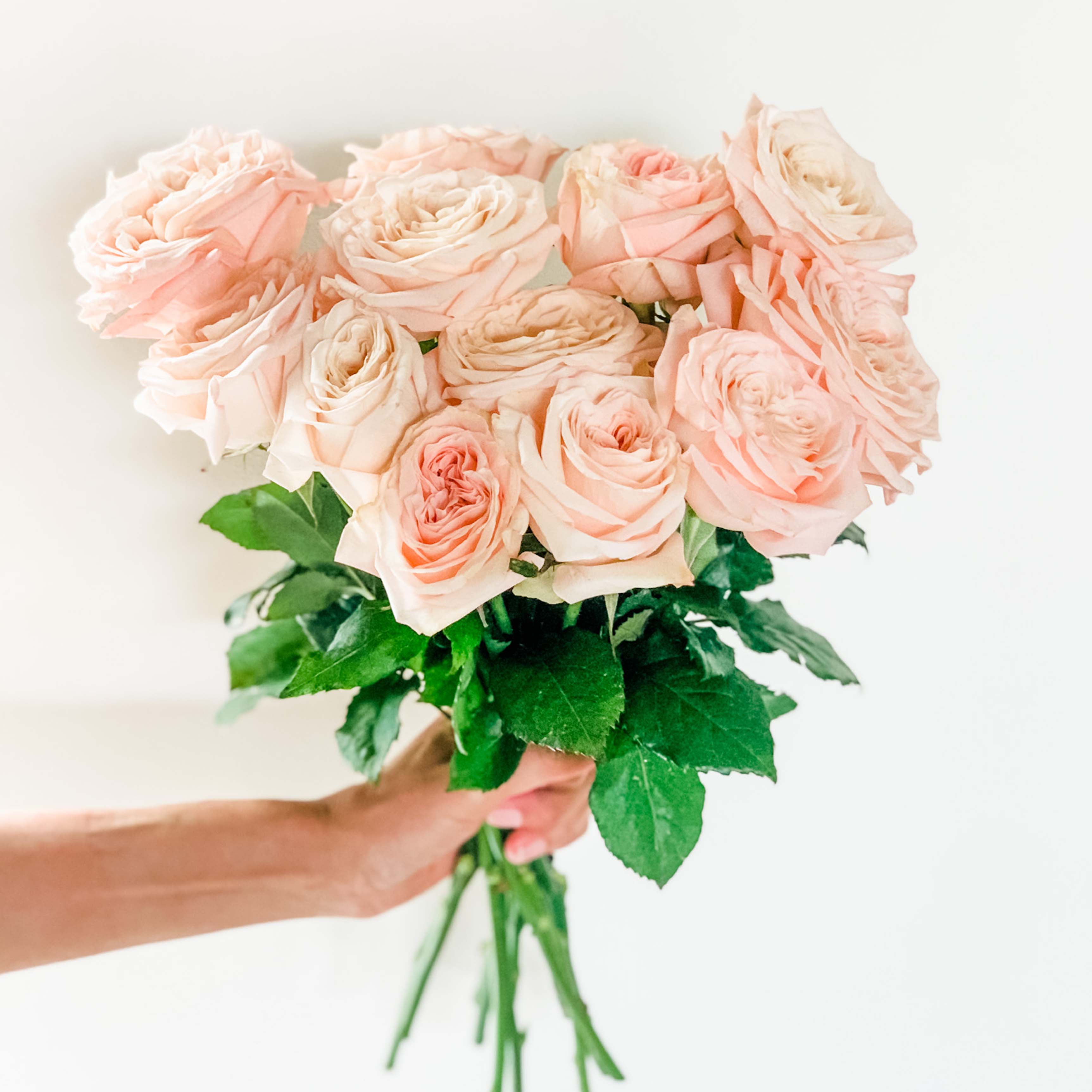 Atado de rosas inglesas