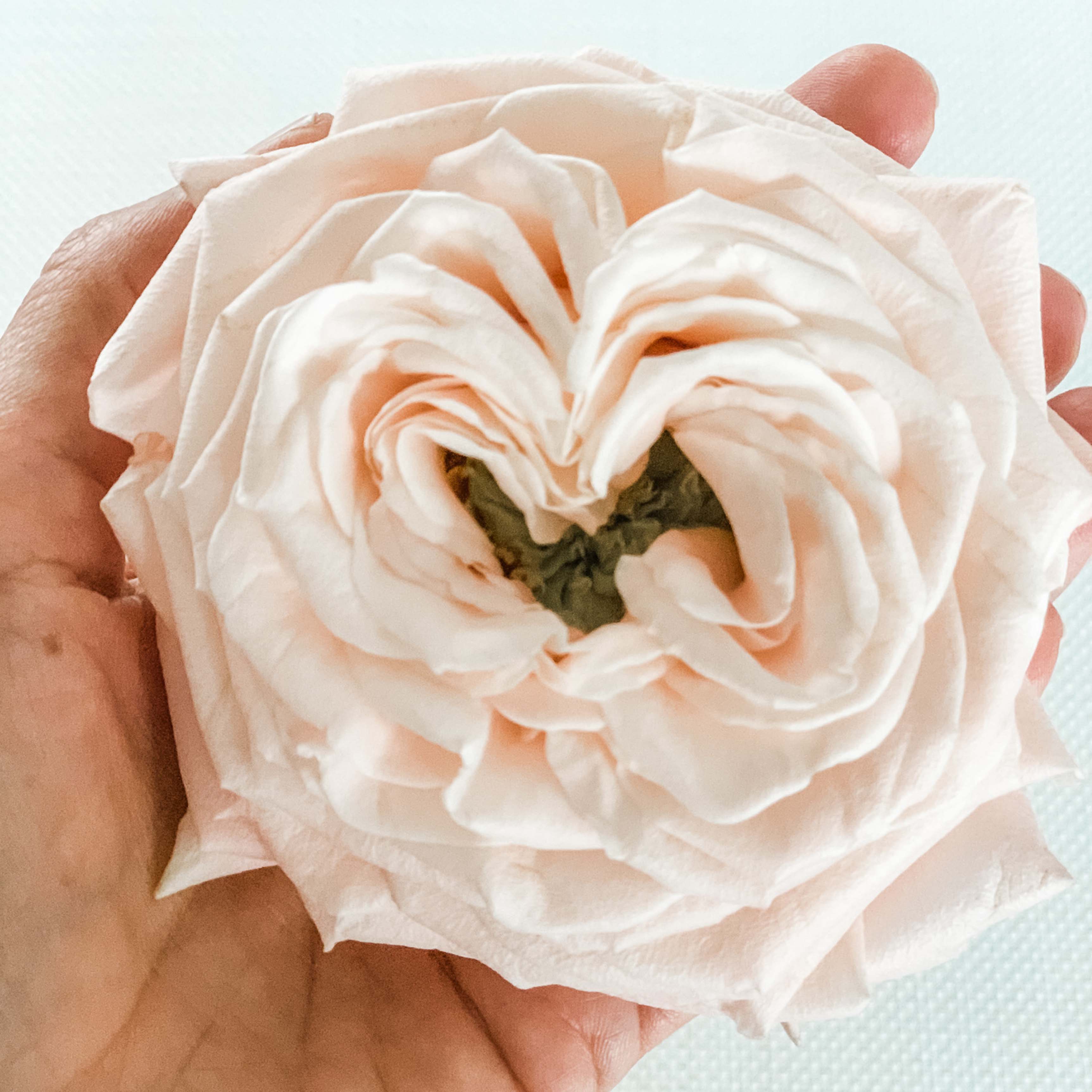 Atado de rosas inglesas