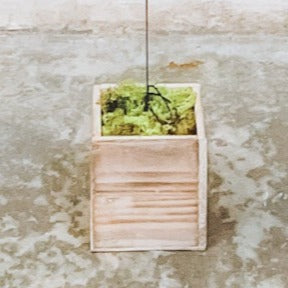 Base Ancla para Globos