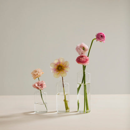 Set de Floreritos Highball