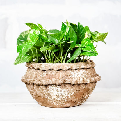 Maceta Rústica